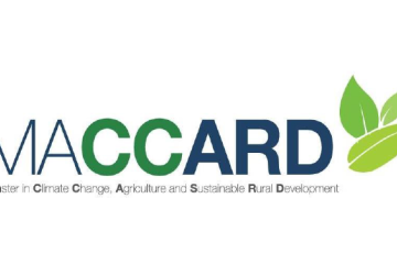Newsletter No1 Proyecto MACCARD